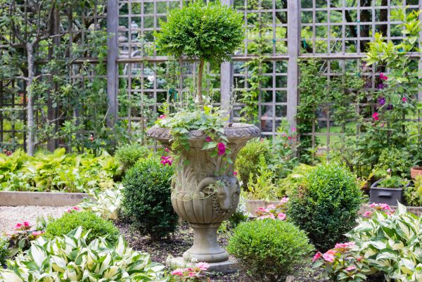 Cost of Topiary Pruning in Hickory