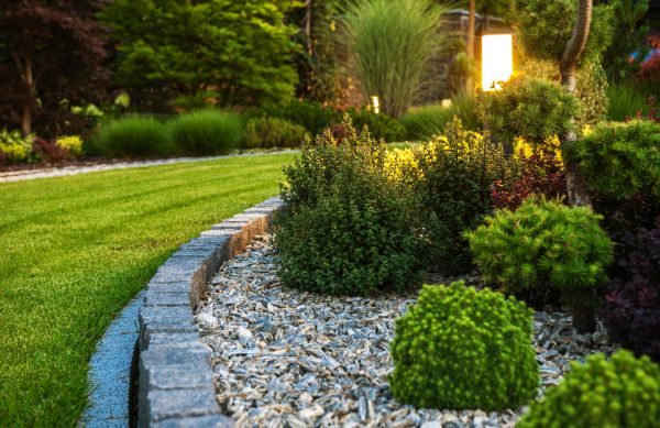 Cost of Bush Relocation in Hickory